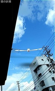 s-IMG_2019-10-26-11125255.jpg