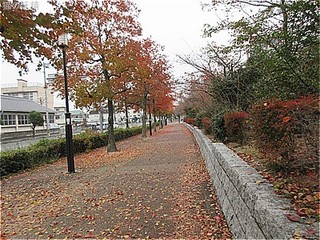 s-IMG_2063.jpg