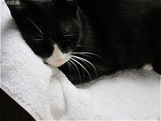 s-IMG_2126.jpg
