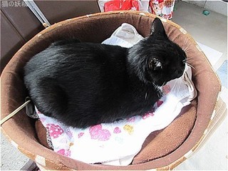 s-IMG_2127.jpg