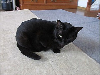 s-IMG_2138.jpg