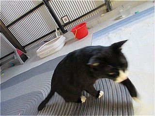 s-IMG_2162.jpg