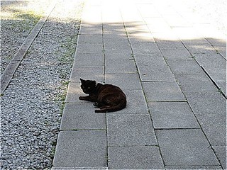 s-IMG_2216.jpg