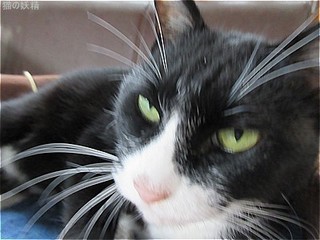 s-IMG_2224.jpg