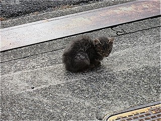 s-IMG_2242.jpg