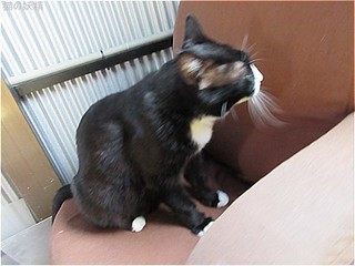 s-IMG_2242.jpg