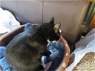 s-IMG_2244.jpg