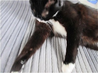 s-IMG_2250.jpg