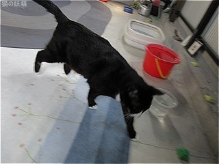 s-IMG_2261.jpg