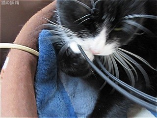s-IMG_2267.jpg