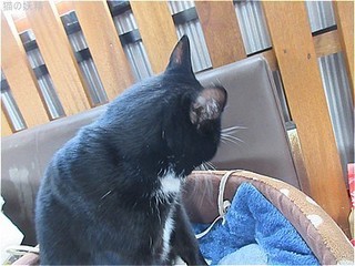 s-IMG_2286.jpg