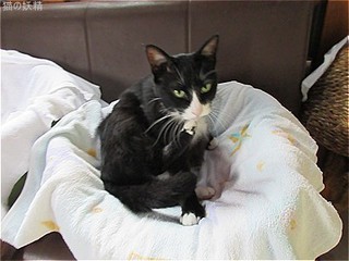 s-IMG_2368.jpg