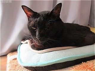 s-IMG_2373.jpg