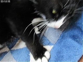 s-IMG_2376.jpg