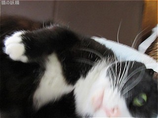 s-IMG_2379.jpg