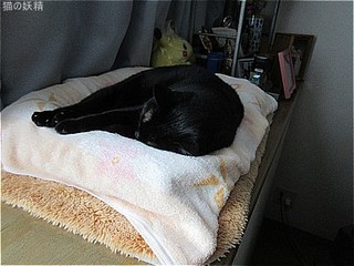 s-IMG_2410.jpg