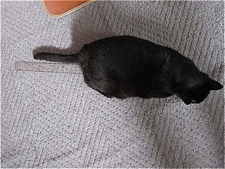 s-IMG_2414.jpg