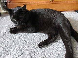 s-IMG_2415.jpg
