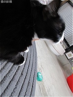s-IMG_2423.jpg