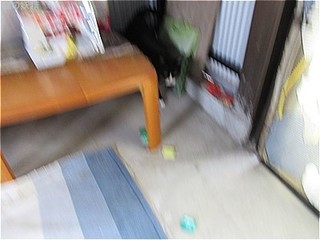 s-IMG_2460.jpg