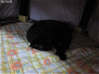 s-IMG_2472.jpg