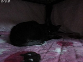 s-IMG_2498.jpg