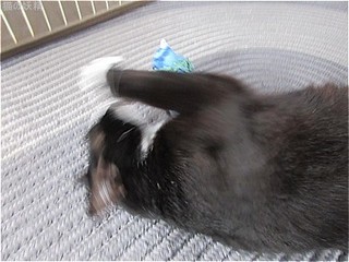 s-IMG_2499.jpg