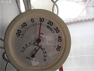s-IMG_2529.jpg