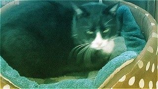 s-IMG_2540.jpg