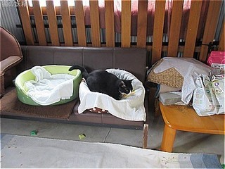 s-IMG_2573.jpg