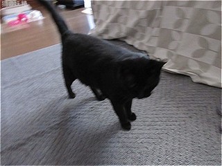 s-IMG_2582.jpg