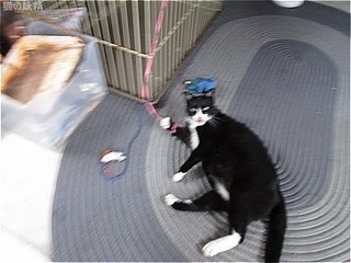 s-IMG_2623.jpg