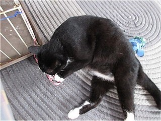 s-IMG_2645.jpg
