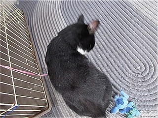 s-IMG_2650.jpg