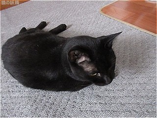 s-IMG_2665.jpg