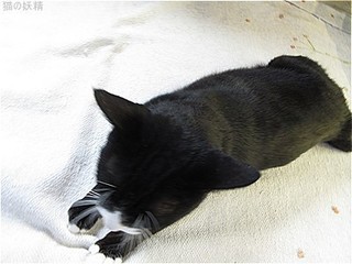 s-IMG_2687.jpg