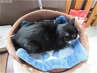 s-IMG_2688.jpg