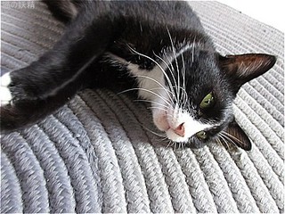 s-IMG_2691.jpg