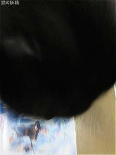 s-IMG_2703.jpg