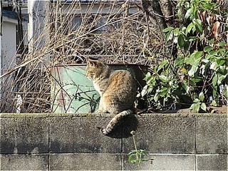s-IMG_2718.jpg