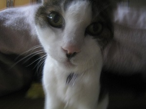 s-IMG_2778.jpg