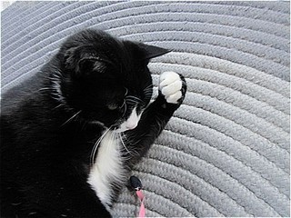 s-IMG_2788.jpg