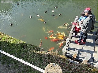 s-IMG_2800.jpg