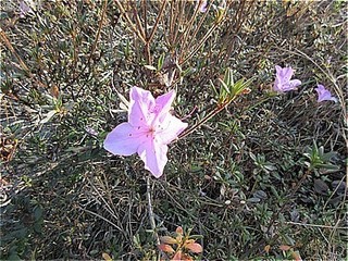 s-IMG_2818.jpg