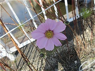 s-IMG_2821.jpg