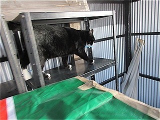 s-IMG_2867.jpg