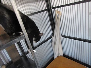 s-IMG_2868.jpg