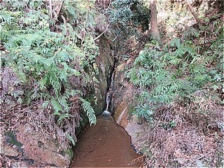 s-IMG_2872.jpg