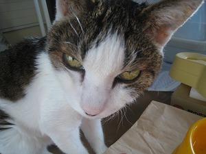 s-IMG_2877.jpg