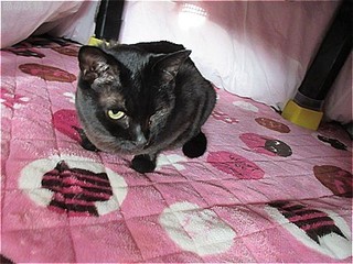 s-IMG_2894.jpg